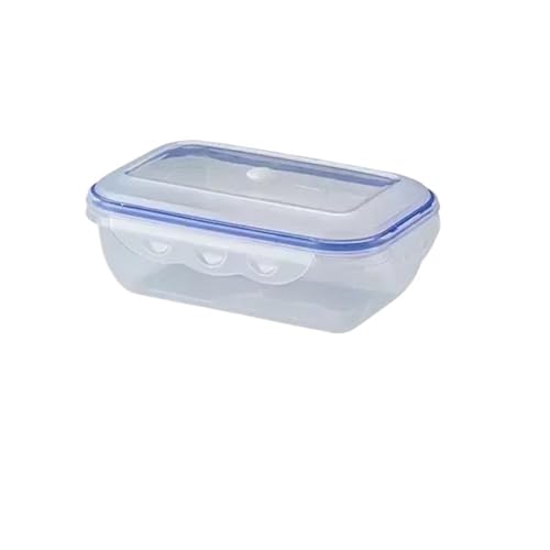 真空食品容器 電子レンジ対応 保存ボックス 鮮度保持 密封ボックス 透明保存容器 冷蔵庫 フードディスペンサー(BoxesSet Cutlery USB)